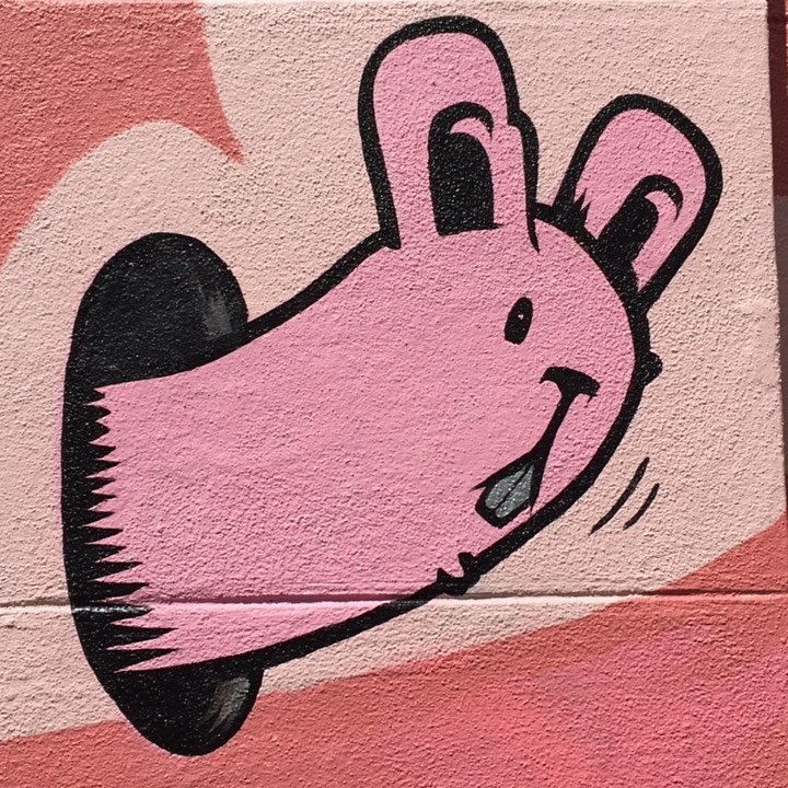 🐰graffiti sf sanfrancisco