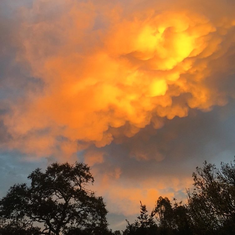 Clouds look good enough to eat