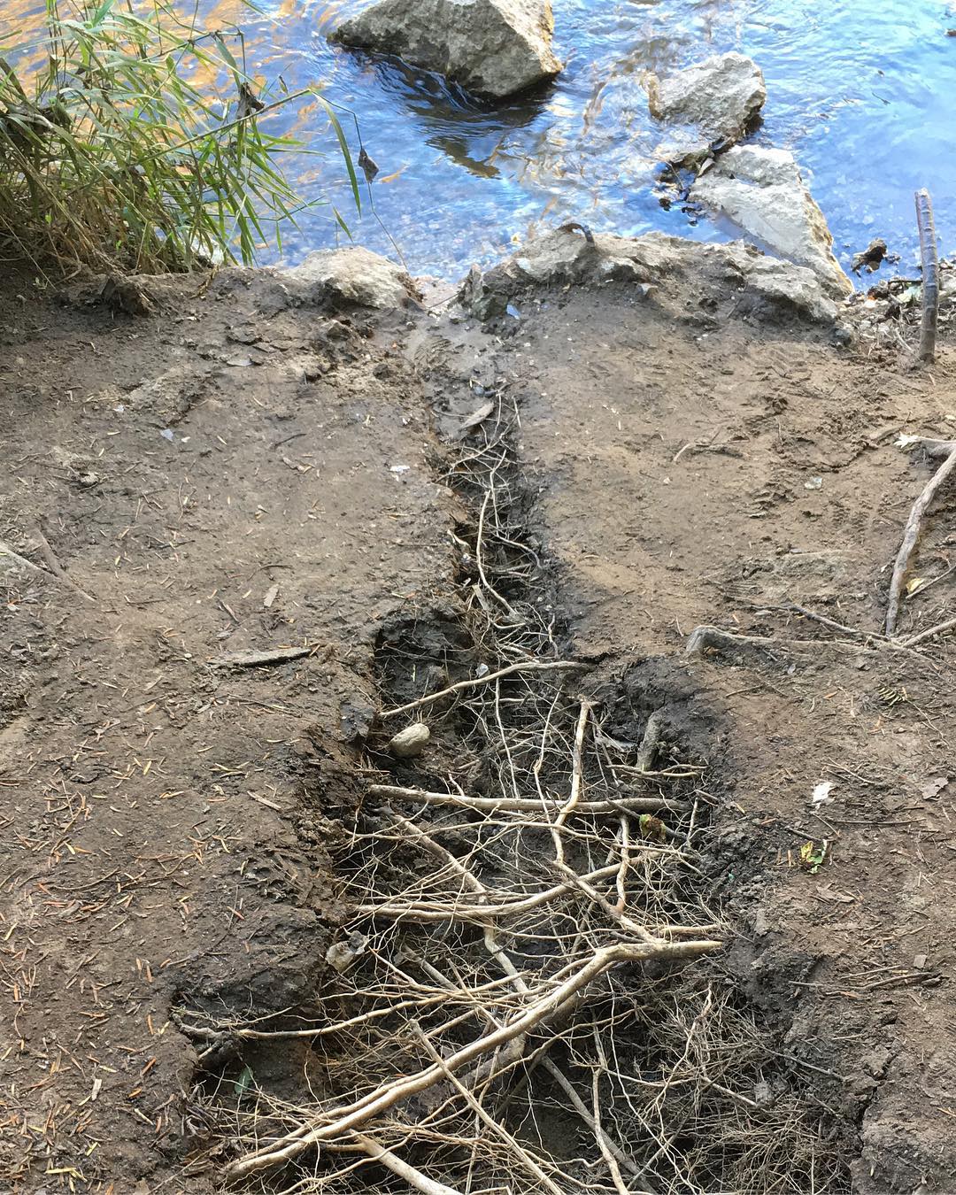 Andy Goldsworthy worthy…